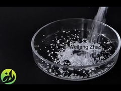 브론폴 - 웨이판 자오유